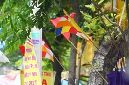 Chùm ảnh: Vui tươi những sắc màu Phật giáo